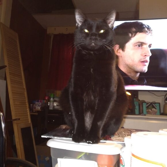 LIKE THIS LISTING TO GET NOTIFIED OF MY LIVE SHARE SHOWS!!! - Picture 4 of 11